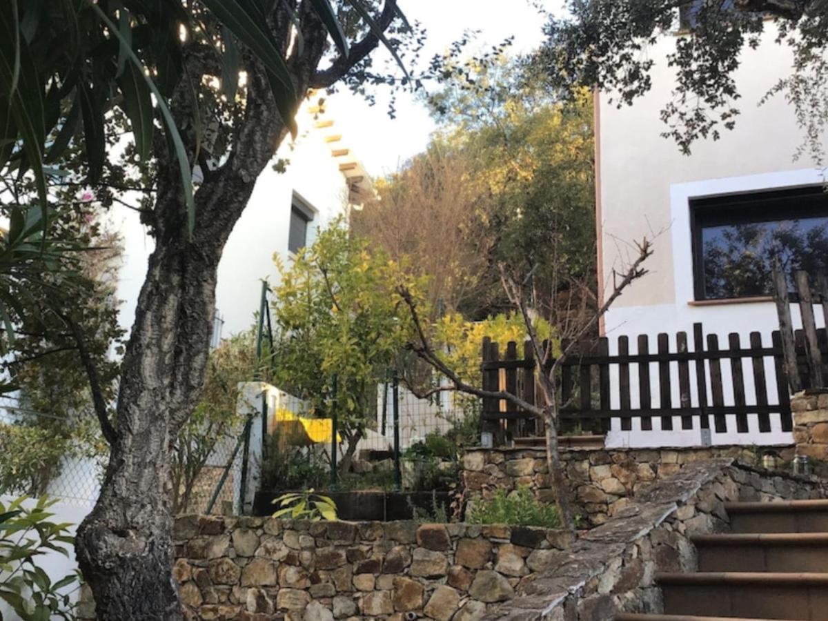 Cosy With Swimming Pool And Spacious Private Terrace Appartement Santa Cristina d'Aro