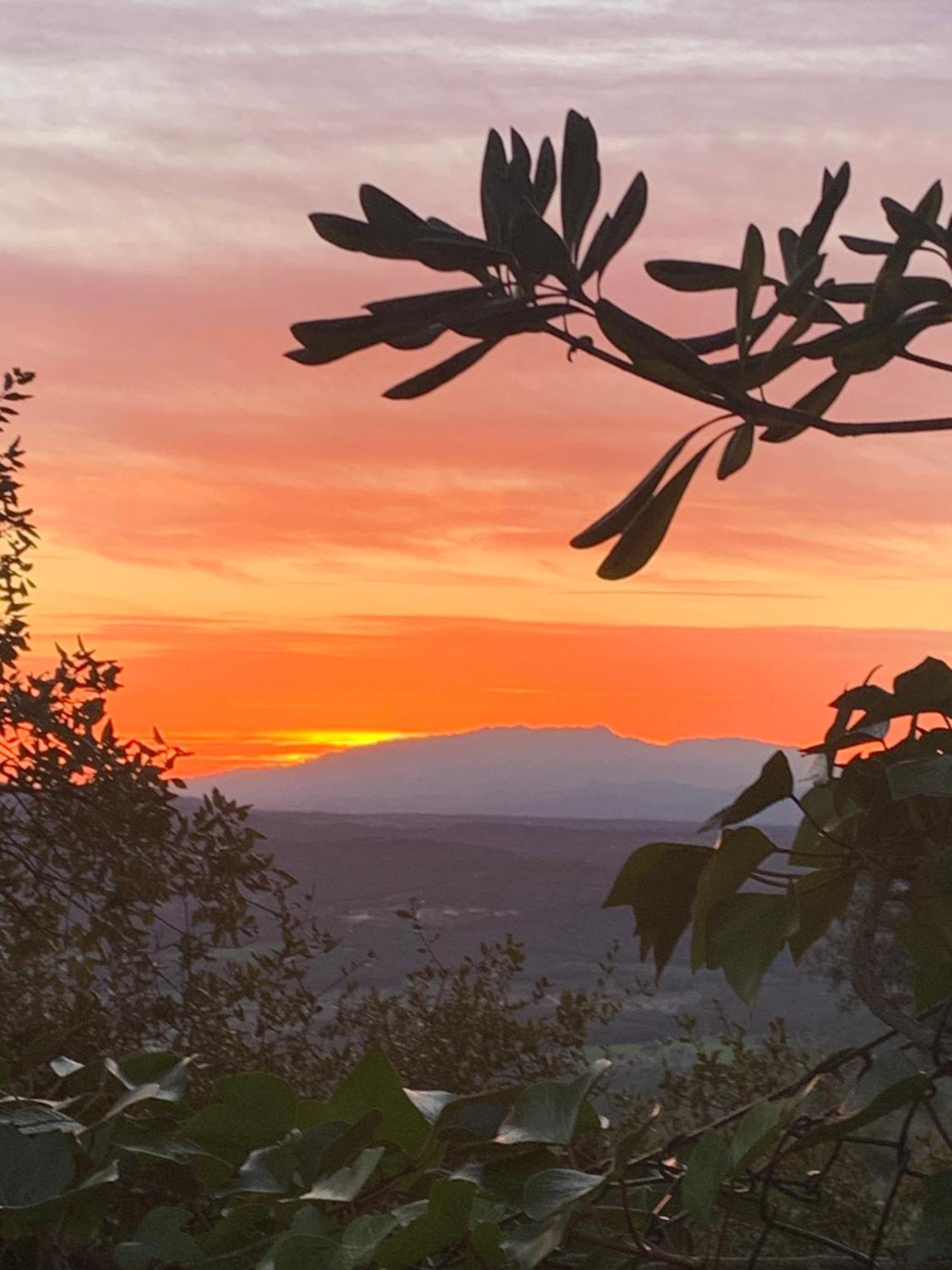 Cosy With Swimming Pool And Spacious Private Terrace Appartement Santa Cristina d'Aro