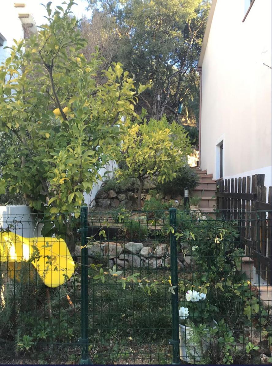 Cosy With Swimming Pool And Spacious Private Terrace